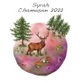 Syrah Chamoson 2022 - Vin du Valais